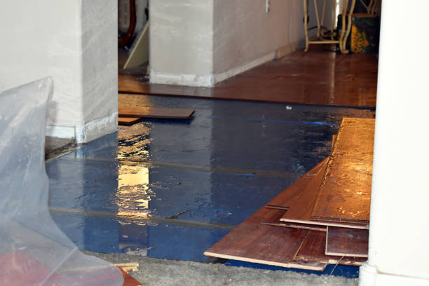 Professional Water Damage Restoration technician working in Palm City, FL